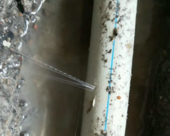 珲春卫生间测漏水多少钱